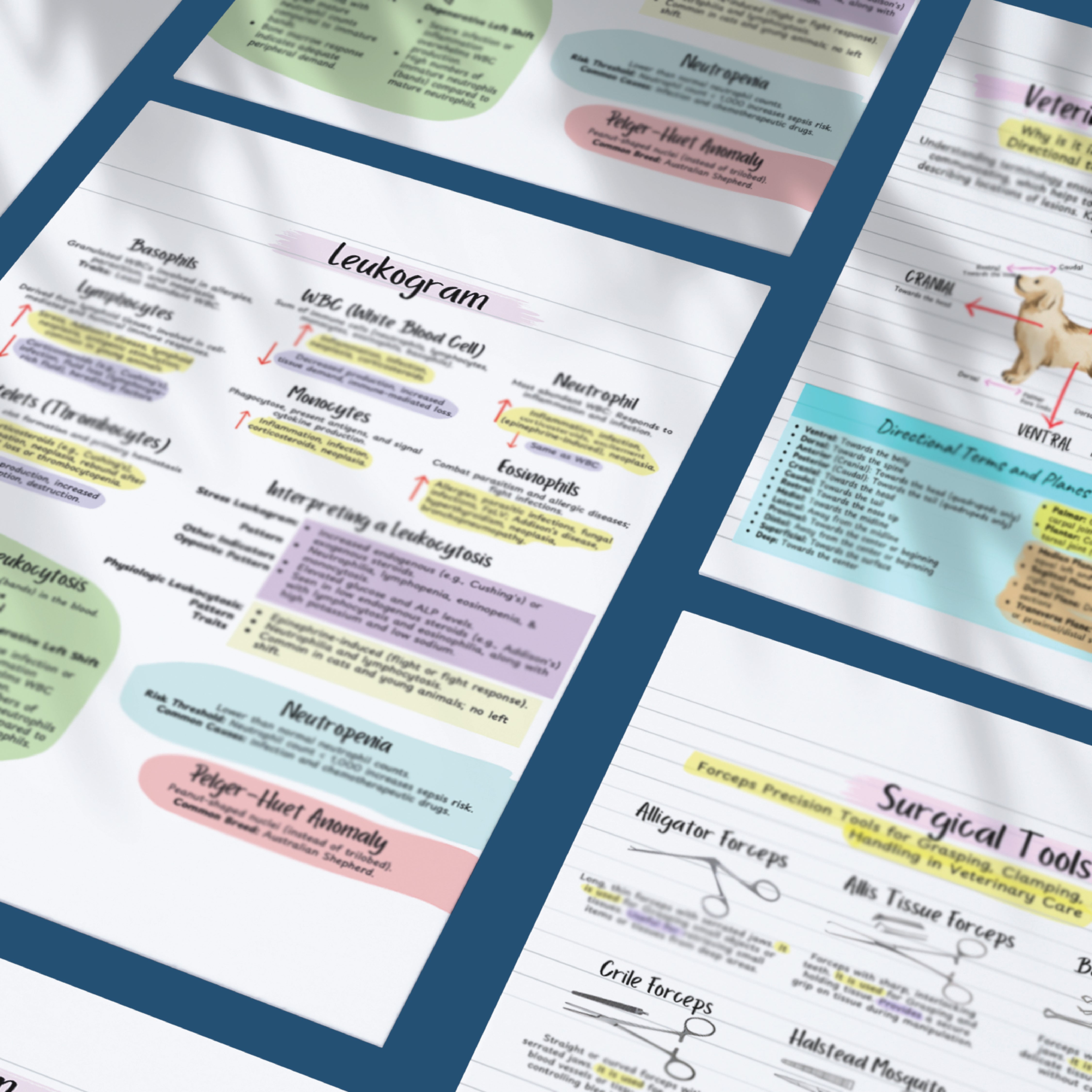 Veterinary Tech Notes Ultimate Vet Med & Tech Notes Bundle – MYVETNOTES