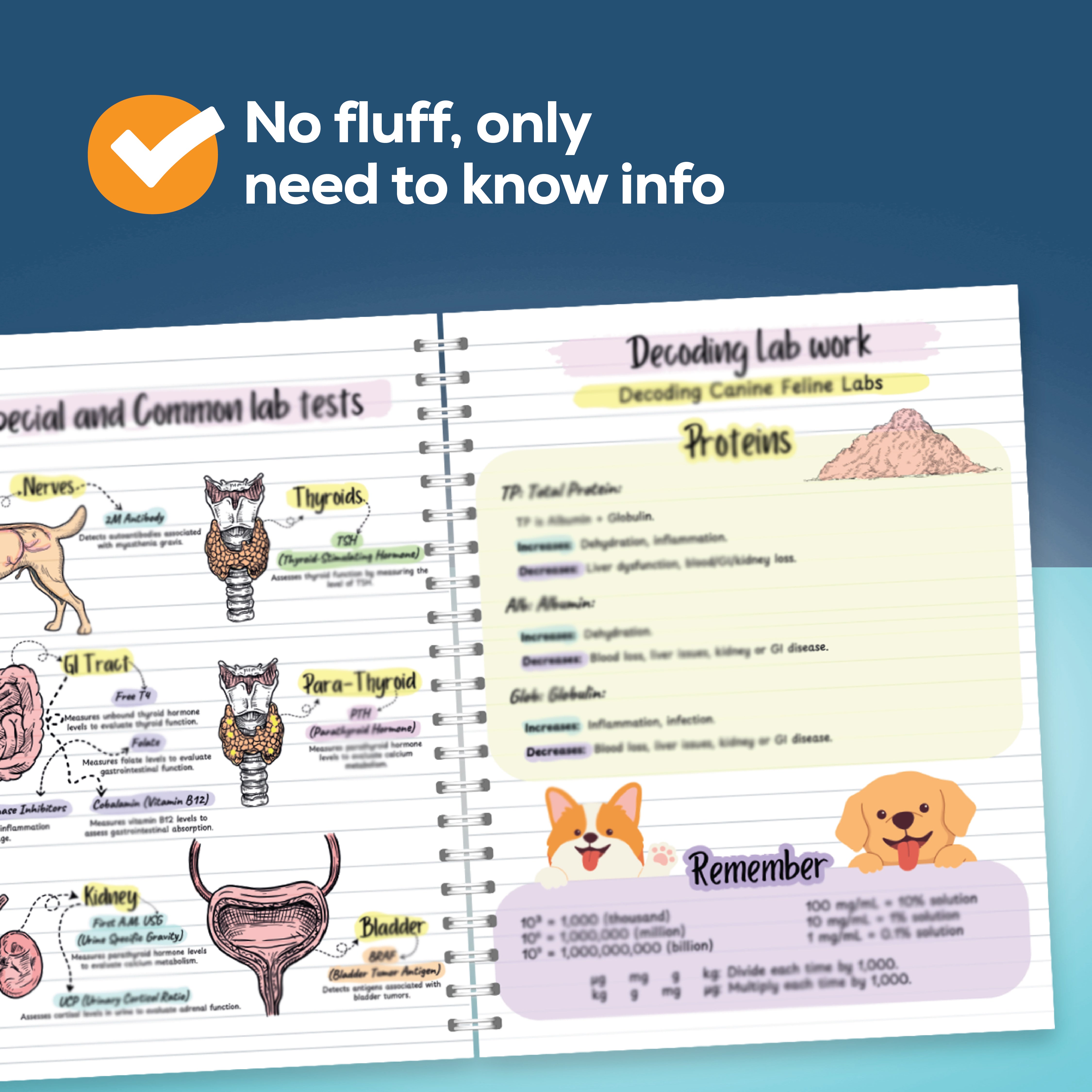 Veterinary Tech Notes Ultimate Vet Med & Tech Notes Bundle – MYVETNOTES
