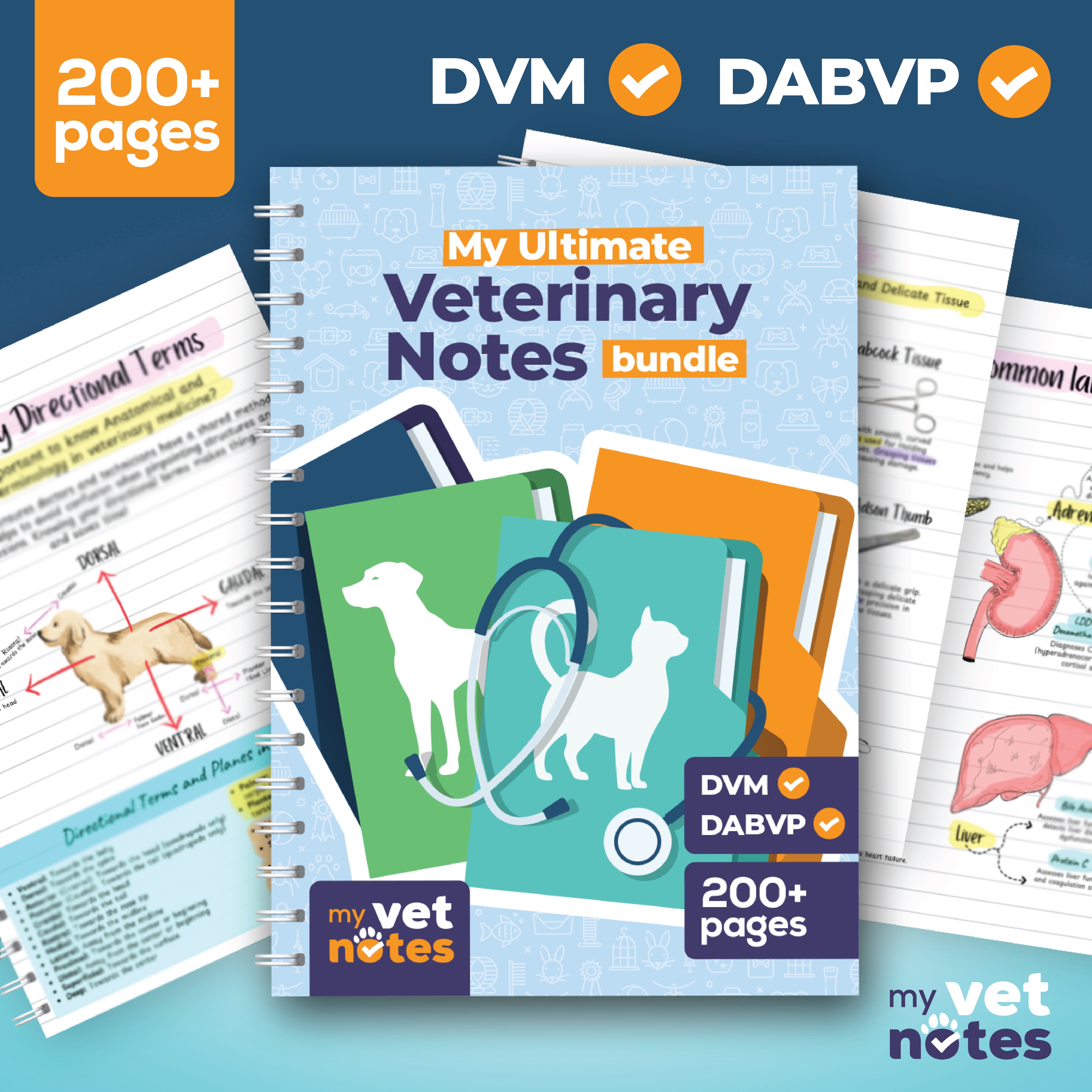 The Ultimate Vet Notes Bundle